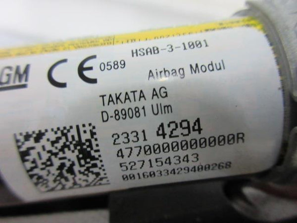 BUICK ENVISION 2019-2020 OEM CURTAIN Airbag RIGHT PASSENGER WITH GRAY PLUG