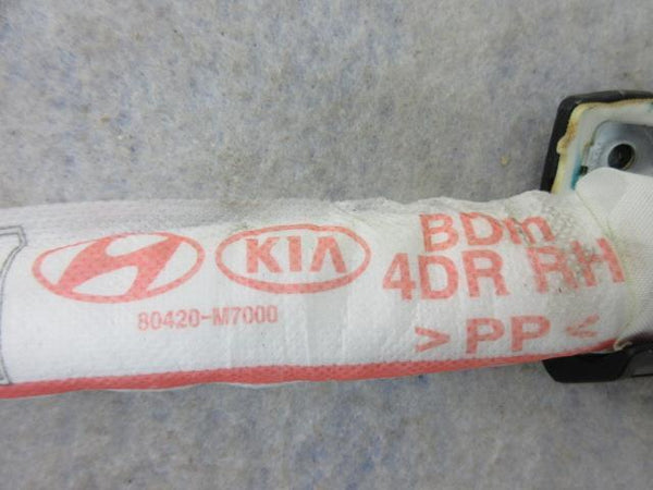 KIA FORTE SEDAN 4 DOORS EX LX 2019-2020-2021 OEM RIGHT PASSENGER Airbag CURTAIN